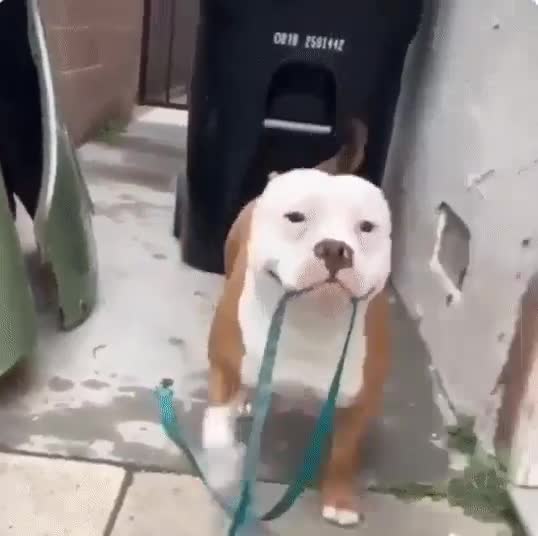 🤗