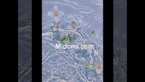 Полезные сайты