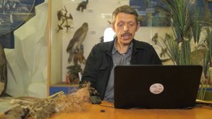 Тростники и переход через Чермное море - Сергей Хрибар о Божьем творении