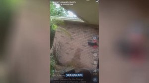 Best video of Tik Tok! 14.09.25 / 09