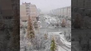В Сибири Началась Зима.