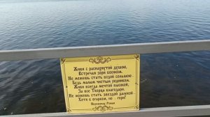 Плещеево озеро, кормили уток у храма