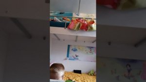 VID_20250914_104532.mp4