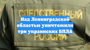Над Ленинградской областью уничтожили три украинских БПЛА