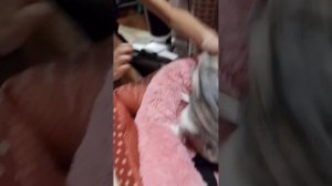 битва Шаня VS руки