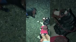 Типо дорога назад с сорнвнований