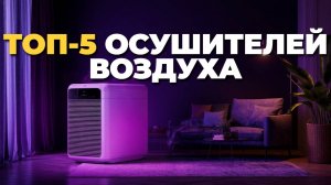 Осушители воздуха для квартиры: топ-5 моделей 2025 года 🌟