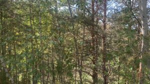 Привычки женщин которых их делают магнитом для возможностей