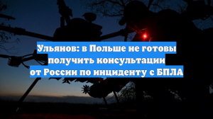 Ульянов: в Польше не готовы получить консультации от России по инциденту с БПЛА