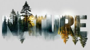 Organic Sexy House 2025  .mp4