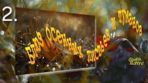 Осенний блюз | Цветотерапия от Илдико Нир (Ildiko Neer) | релакс часть 2