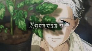 Ветролом ПОМИДОРЫ