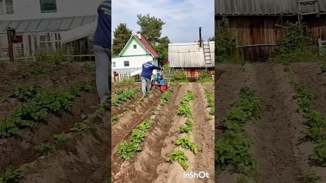 от вспашки до вспашки