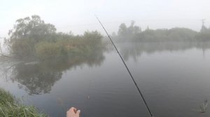 Одна из лучших катушек из Китая! Качественная катушка из Китая от TM!