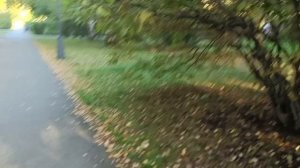 Сквер Депутатов. город Тюмень.