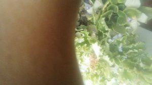 VID_20250914_145810.mp4