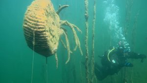 13.09.2025 в Спас Каменке. Учимся отдыхаем 4К