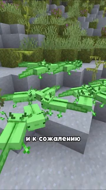 5 секретов АКСОЛОТЛЯ _ БИСКАС #shorts