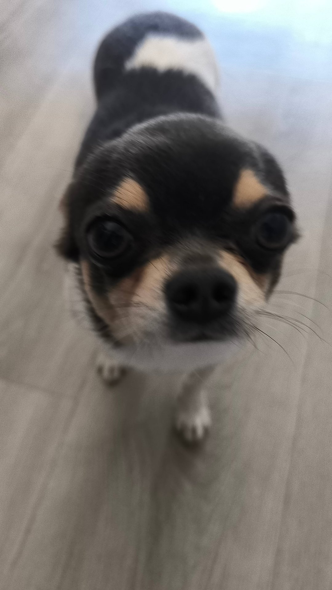 Разные тетради смотреть онлайн