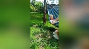 "До и После" обучения "Искусству общения с собакой"!