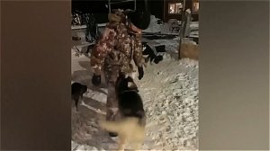 Смешные животные, часть 33