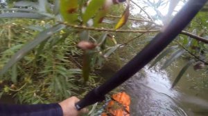 Трейлер. SUP-сплав по Ускату. 14.09.25г.