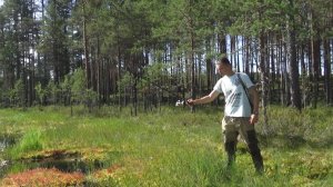 Поход в лес, по болоту .Рыбалка по "окошкам".