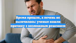 Время прошло, а печень не вылечилась: ученые нашли причину с возможным решением