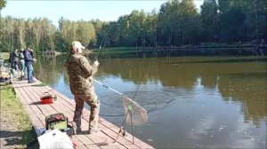 Спиннинг, донка, поплавок. Нижний пруд. Клёвое место Лосиный остров.