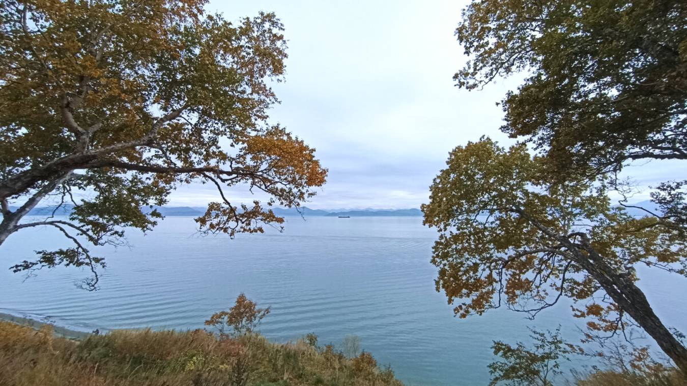 Парк Никольская сопка в Петропавловске-Камчатском