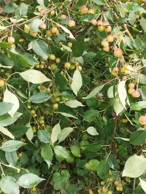 утренний отдых