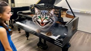 Рояль C. Bechstein (К. Бехштейн) в стране чудес