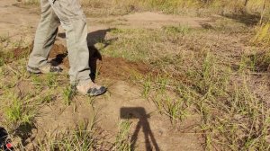 100 пудовый якорь