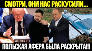 СРОЧНО! ПОЛЬША В АУТЕ: Российский Дипломат Удивил Всех На Заседании