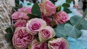 Губернские новости. 14.09.2025