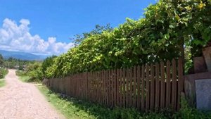 По дорогам Абхазии