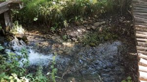 Исток реки Хопёр (Пензенская область)