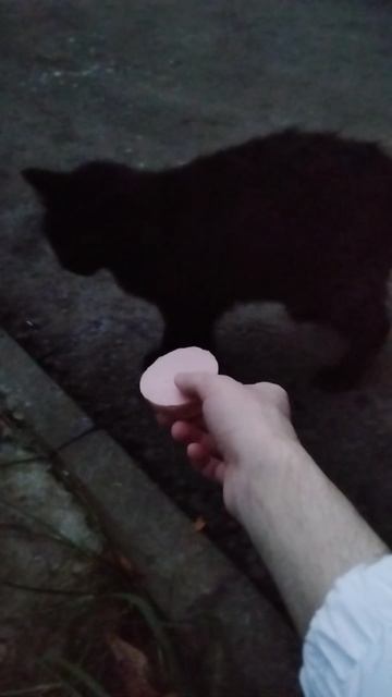 PXL_20250914_053431390