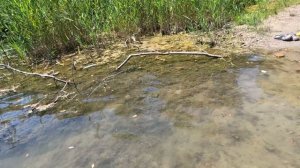 На карьере с Маньшиными лето 25 год.