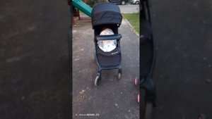 прогулка с реборном лиамом/хорошая погода/новая коляска