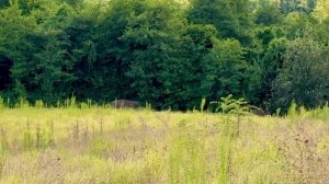 Игра в прятки