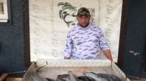 улов с малого водоёма
