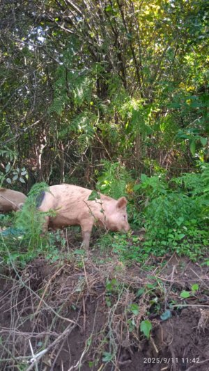 Как устроен компьютер