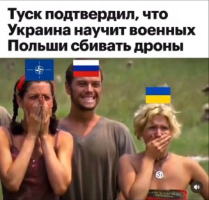 Украина учит военных Польши сбивать дроны