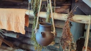 Поездка в Кострому лето 2025