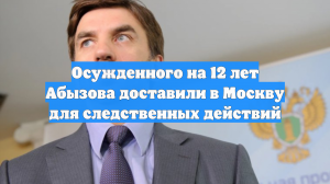 Осужденного на 12 лет Абызова доставили в Москву для следственных действий