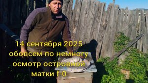 осмотр островной матки f-0