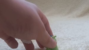 Парк мир юркского периода-Богатство