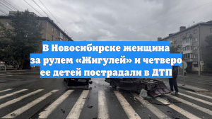 В Новосибирске женщина за рулем «Жигулей» и четверо ее детей пострадали в ДТП