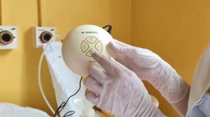 Сцеживание при помощи молокоотсоса Medela